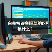 白茅根跟鱼腥草的区别是什么？（图3）