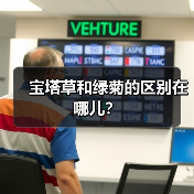 宝塔草和绿菊的区别在哪儿？（图2）
