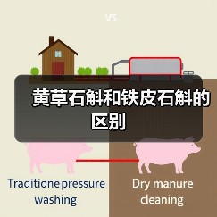 黄草石斛和铁皮石斛的区别（图1）