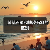 黄草石斛和铁皮石斛的区别（图2）