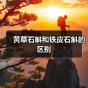 黄草石斛和铁皮石斛的区别（图4）