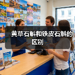 黄草石斛和铁皮石斛的区别（图3）