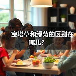 宝塔草和绿菊的区别在哪儿？（图3）
