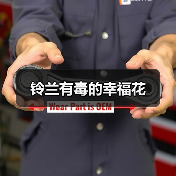 铃兰有毒的幸福花（图1）