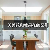 芙蓉花和牡丹花的区别（图1）