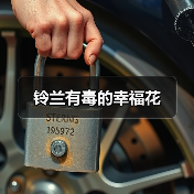 铃兰有毒的幸福花（图4）