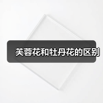 芙蓉花和牡丹花的区别（图3）