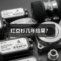 红豆杉几年结果？（图2）