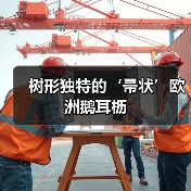 树形独特的‘帚状’欧洲鹅耳枥（图3）