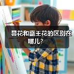 昙花和霸王花的区别在哪儿？（图3）
