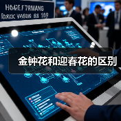 金钟花和迎春花的区别（图1）