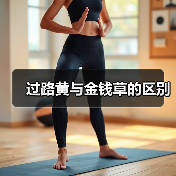 过路黄与金钱草的区别（图3）