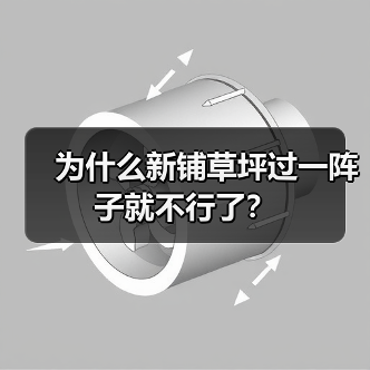 为什么新铺草坪过一阵子就不行了？（图1）