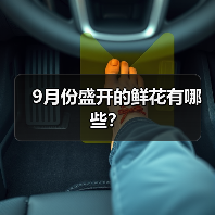 9月份盛开的鲜花有哪些？（图1）