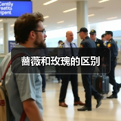 蔷薇和玫瑰的区别（图1）