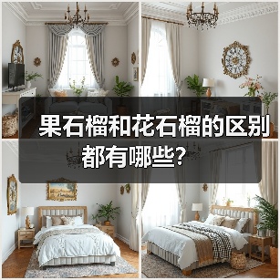 果石榴和花石榴的区别都有哪些？（图2）