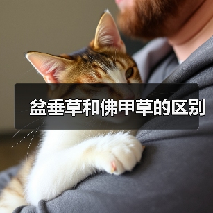 盆垂草和佛甲草的区别（图1）