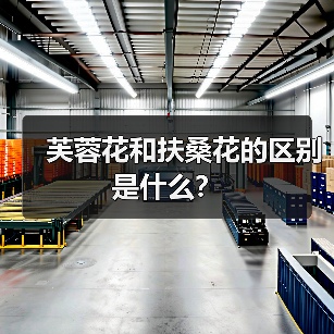 芙蓉花和扶桑花的区别是什么？（图2）