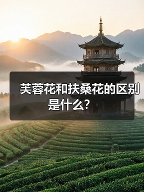 芙蓉花和扶桑花的区别是什么？（图1）