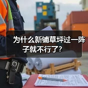 为什么新铺草坪过一阵子就不行了？（图3）