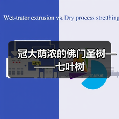 冠大荫浓的佛门圣树———七叶树(图4) 冠大荫浓的佛门圣树———七叶树(图4)