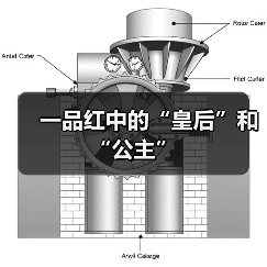 一品红中的“皇后”和“公主”（图2）