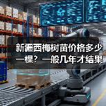 新疆西梅树苗价格多少一棵？一般几年才结果？（图4）