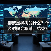 柳絮是柳树的什么？什么时候会飘落、结束？附过敏处理和预防方法（图4）