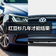 红豆杉几年才能结果（图3）