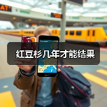 红豆杉几年才能结果（图4）
