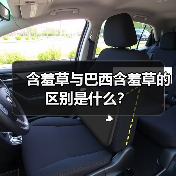 含羞草与巴西含羞草的区别是什么？（图2）