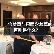 含羞草与巴西含羞草的区别是什么？（图4）