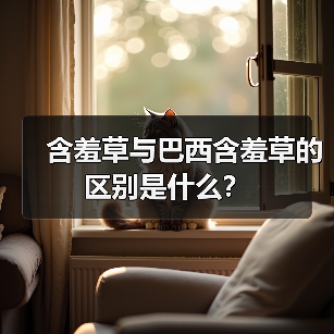 含羞草与巴西含羞草的区别是什么？（图3）