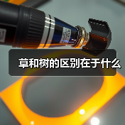 草和树的区别在于什么（图4）