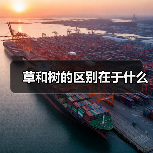 草和树的区别在于什么（图3）