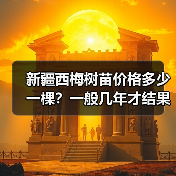 新疆西梅树苗价格多少一棵？一般几年才结果？（图1）