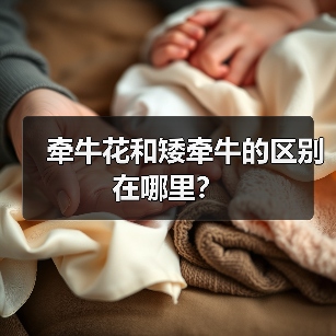牵牛花和矮牵牛的区别在哪里？（图2）