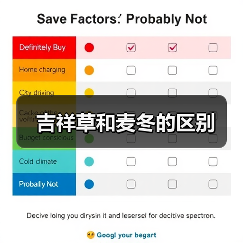 吉祥草和麦冬的区别（图1）