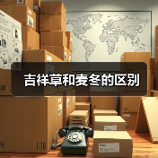 吉祥草和麦冬的区别（图3）