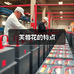 芙蓉花的特点（图2）