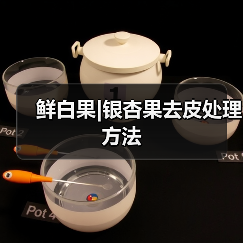 鲜白果|银杏果去皮处理方法(图1) 鲜白果|银杏果去皮处理方法(图1)