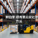 鲜白果|银杏果去皮处理方法(图4) 鲜白果|银杏果去皮处理方法(图4)