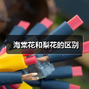 海棠花和梨花的区别（图2）