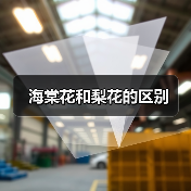 海棠花和梨花的区别（图1）