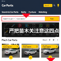 严把苗木关注意这四点（图1）