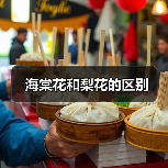 海棠花和梨花的区别（图3）