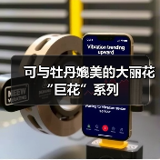 可与牡丹媲美的大丽花“巨花”系列（图3）