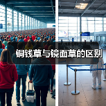 铜钱草与镜面草的区别（图2）