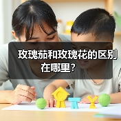 玫瑰茄和玫瑰花的区别在哪里？（图3）
