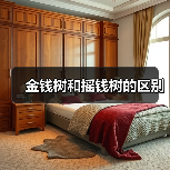 金钱树和摇钱树的区别（图3）
